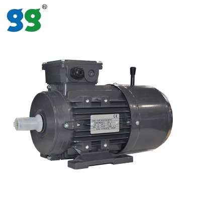 Goldgun application mini electric geared motor