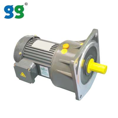 Goldgun geared stepper tech 24v ac gear motor